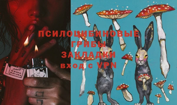 ешки Бугульма
