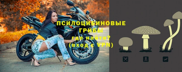 гидропоника Бородино