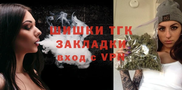 гидропоника Бородино