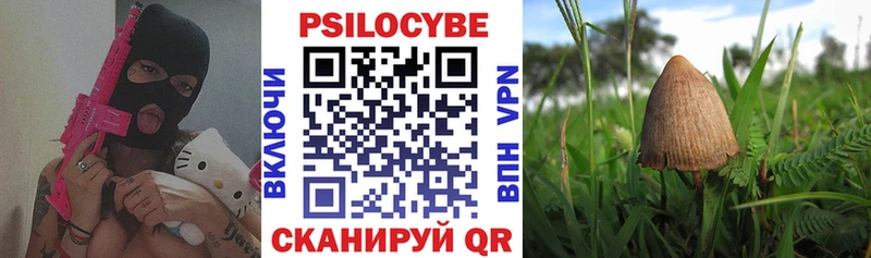 Купить  Морозовск  Псилоцибиновые грибы Cubensis 